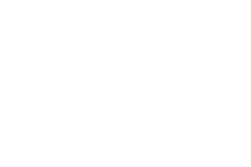 Bayhorse Silver Inc.